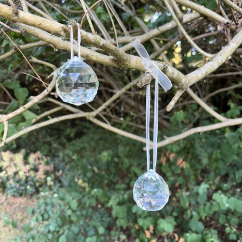 Pair feng shui crystal - feng,