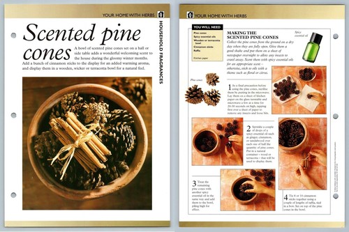 Scented pine cones home - scented,