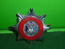 DEVON FIRE BRIGADE BADGE