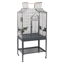 Rainforest Cages Amazona 2 Top