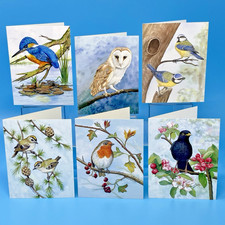 New - Beautiful British Bird