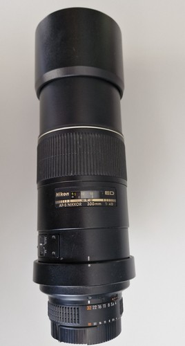 Nikon nikkor 300mm f 4d - nikkor, f/4d