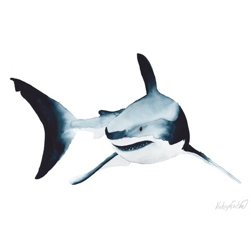 Great white shark art - white,