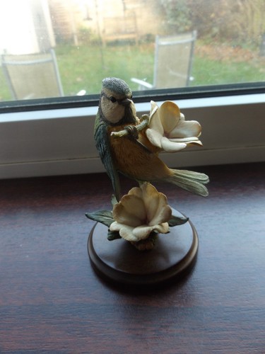 Country artists blue tit - blue, with