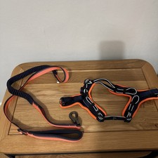 3 PEAKS LIGHTWEIGHT HARNESS