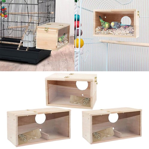 Bird eggs breeding - bird, box
