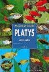 Platys cuidados crianza - :,