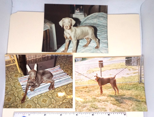 Photos lot color - photos, 3