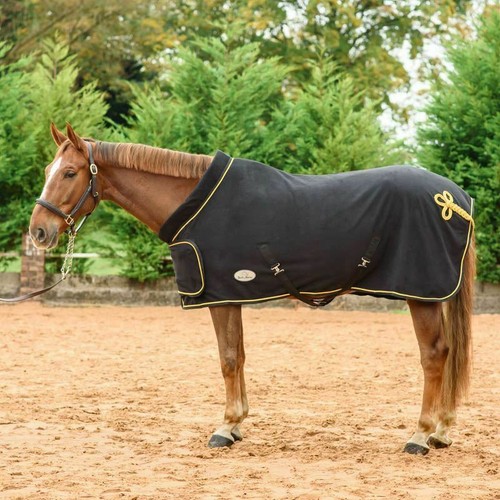 Best horse fleece - on,