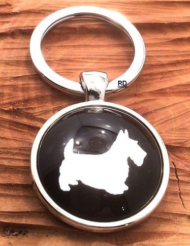 Adorable scottish terrier - scottish,