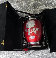 Large Beautiful Double Ashes