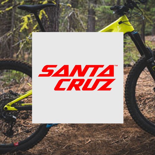 Santa cruz frame - santa, bearing