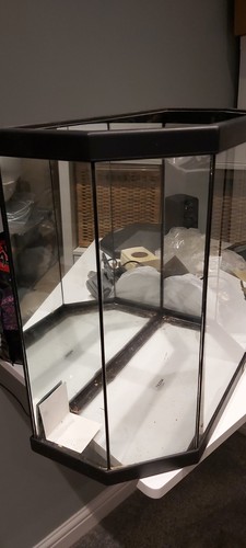 Aquarium fish tank with - aquarium,