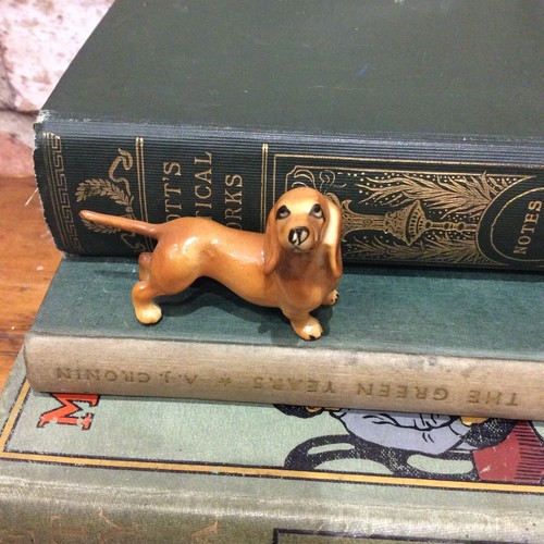 Vintage miniature dachshund - vintage,