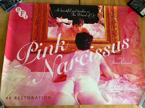 Pink narcissus quad cinema - narcissus,