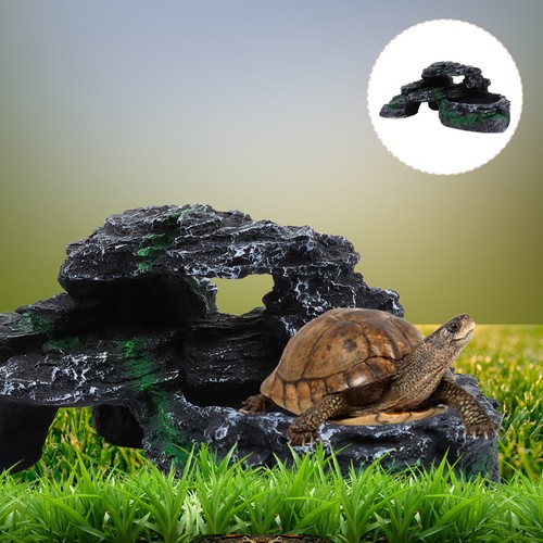 Reptile corner climbing branch - reptile,