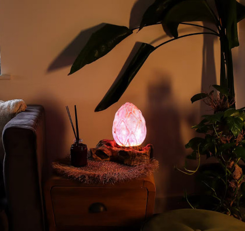 Handmade driftwood lamp with - lamp,