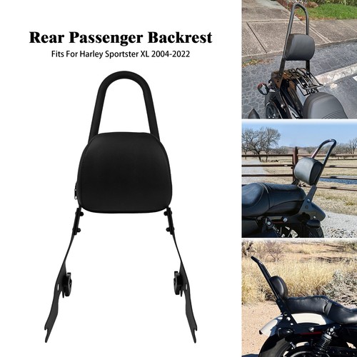 Rear passenger sissy bar - rear,