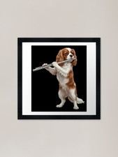 Cavalier King Charles Spaniel