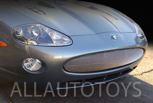 Bumper mesh grille - grille, for