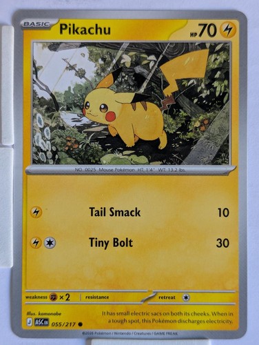 Pikachu 055 217 common - 055/217,