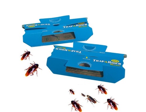 Cockroach traps glue trap - cockroach,