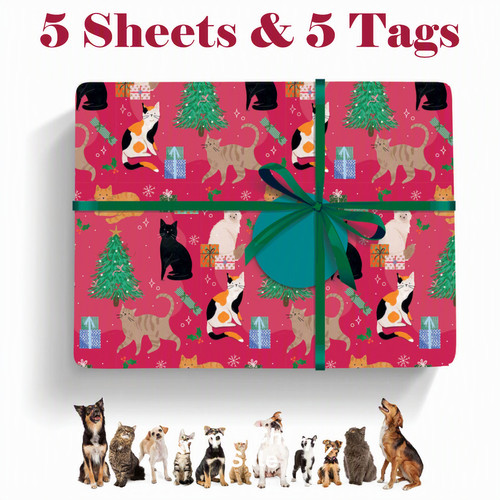 Cat themed christmas - cat, wrap
