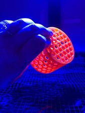 3D MARINE SAFE Mushroom Coral