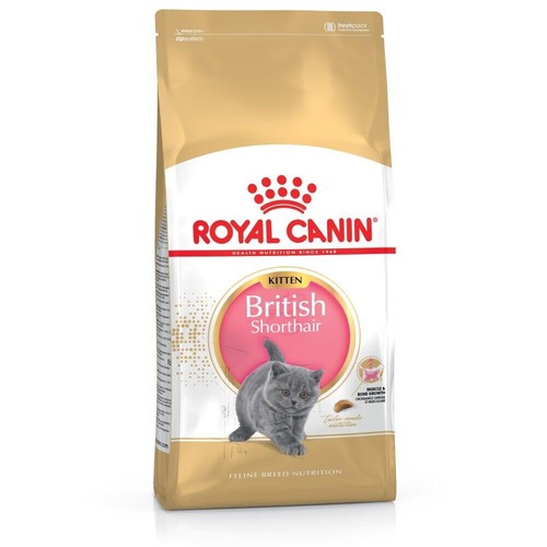 Royal canin british - short, hair