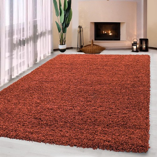 Thick shaggy rug large soft - rug,