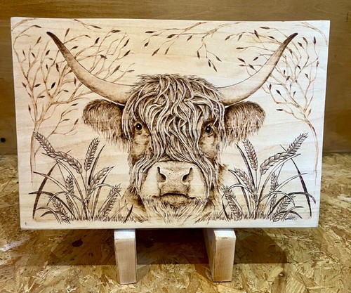 Highland cow pyrography - highland,