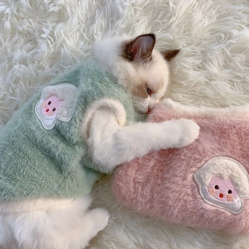 Cat winter sweater - sweater, warm