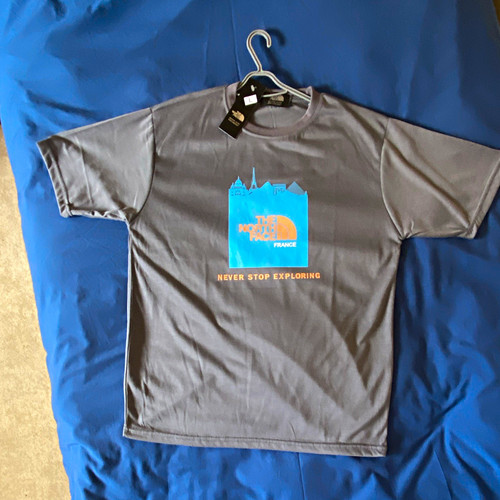 The north face - face, grey