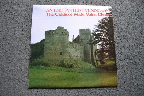 Enchanted evening with the - enchanted,