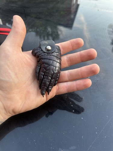 Real crocodile foot keyring - crocodile,