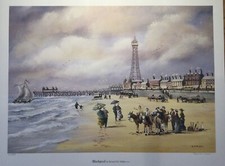 Blackpool Is a Bernard