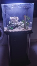 fish tank with stand and