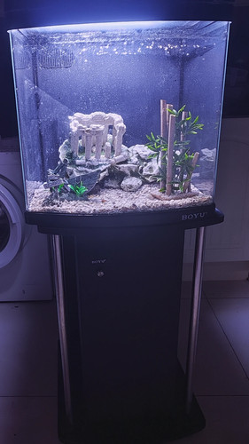 Fish tank with - fish, and
