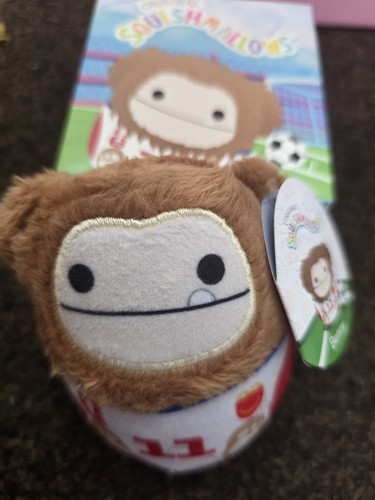 Benny bigfoot squishmallows - benny,