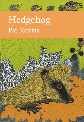 Hedgehog landmark new - hedgehog:,