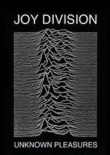 Joy Division  Music Concert
