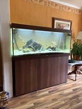 Jewel Rio 450 Aquarium and Extras