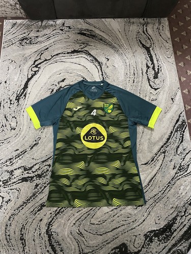 Norwich city match worn ben - worn,