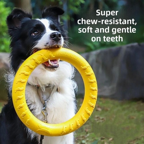 Dog puzzle toys - puzzle, pet