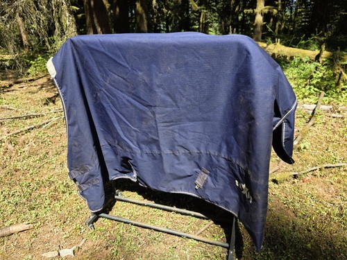 Saxon horse blanket - saxon,