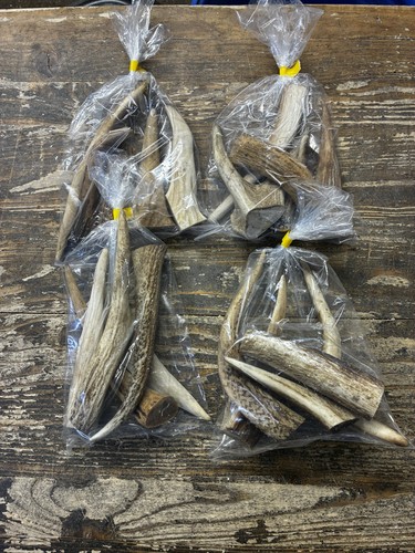 Natural deer antler dog - natural,