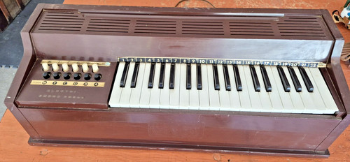 Magnus electric chord - electric, organ
