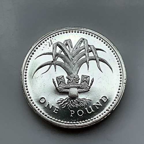 Silver proof pound coin 1 - pound, £1