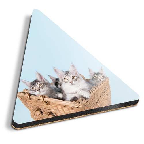 Triangle coaster cute - coaster,