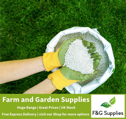 Lawn fertiliser all year round - lawn,